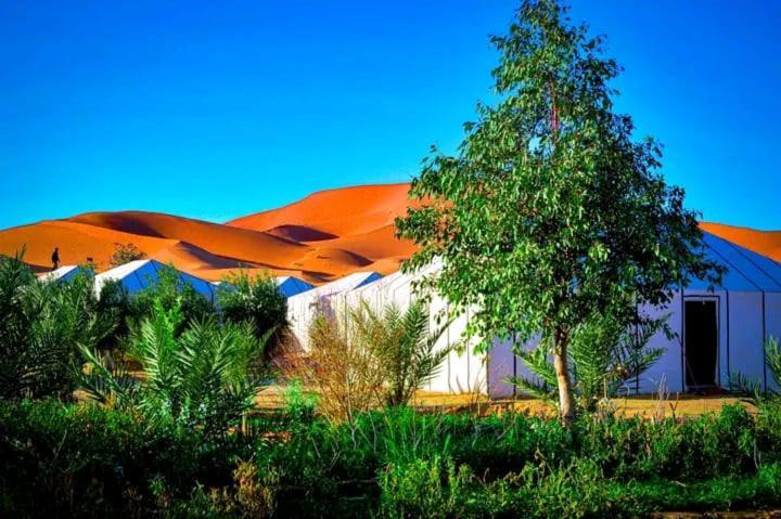 Riad Les Roches Мерзуга Экстерьер фото